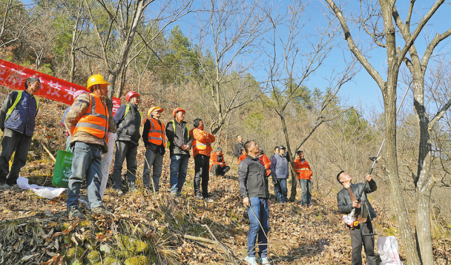培训接地气 发展有底气