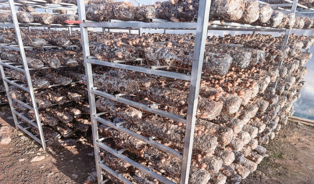 产业旺 人心齐 环境美