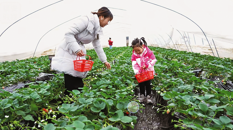 赵昌忠的“甜蜜事业”