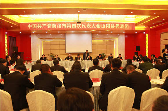 发挥党的领导核心作用 奋力实现追赶超越