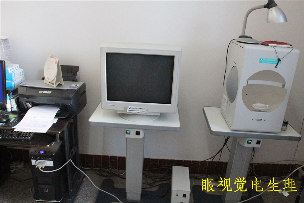 眼视觉电生理.JPG