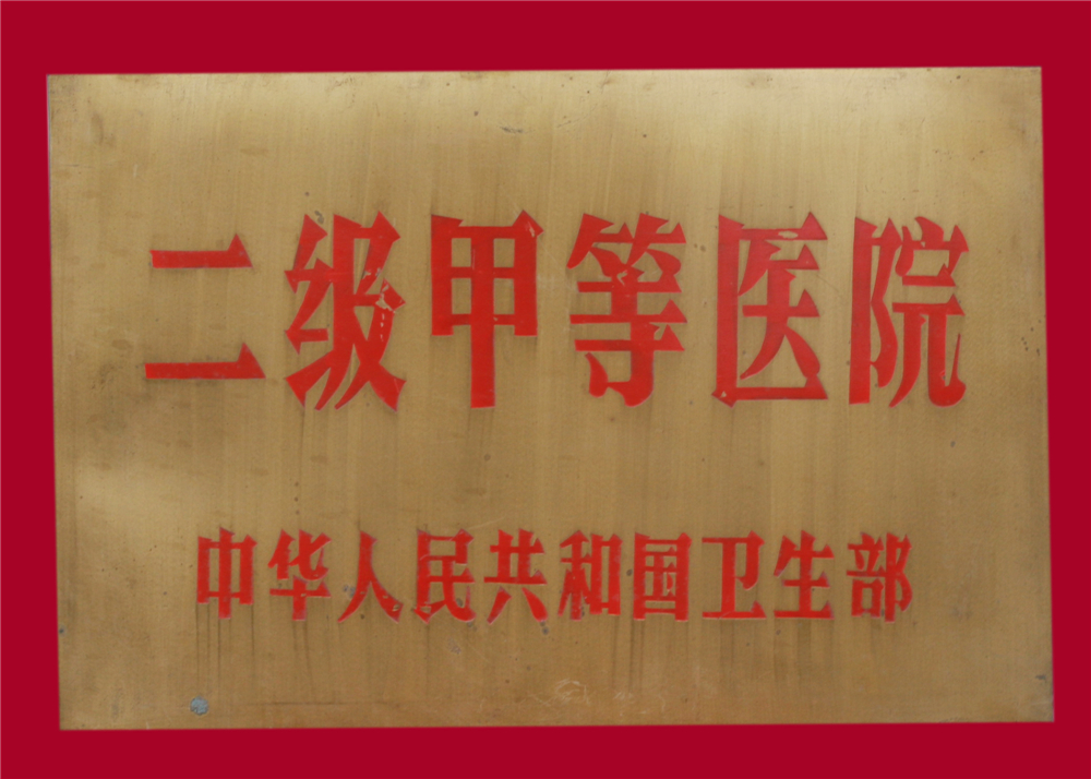 二级甲等医院