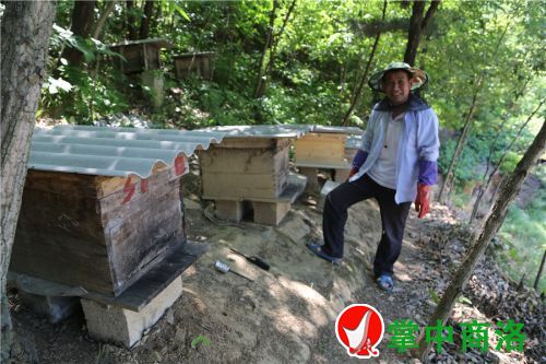 QQ图片20170525180322