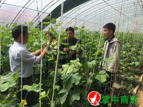 QQ图片20170607170621