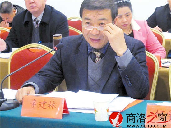 市人大代表辛建林参加丹凤代表团审议《政府工作报告》时建议，把城市规划放在更加重要的位置，做好棚户区改造工作，加强对群众建房的规划和管理。      （见习记者 董 楠 摄）