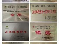 镇安县黄农茶叶专业合作社简介