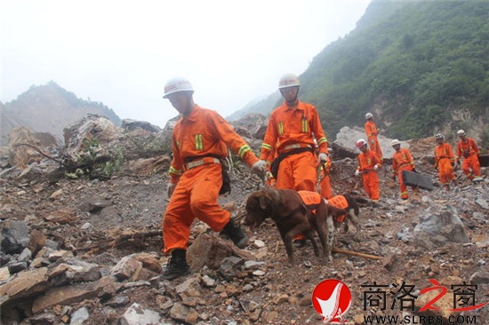 消防战士带着搜救犬寻找生命迹象