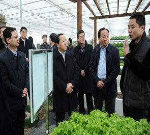 洛南：全力实施四大计划奋力做强四大区块