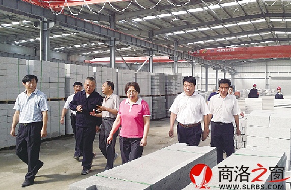 市长陈俊深入镇安县翰鼎石材产业园视察调研项目建设工作