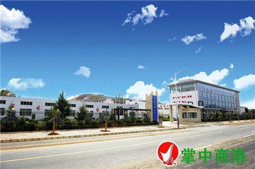 农业龙头企业——陕西天玉公司