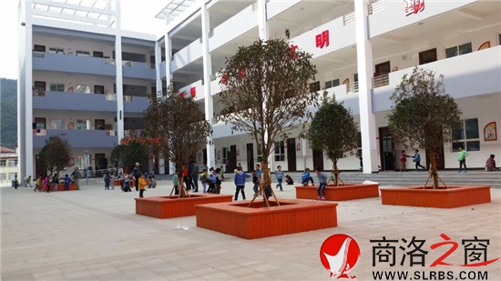 柞水县城小 (1).jpg