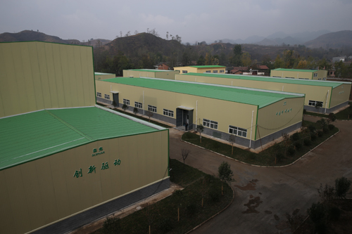 DZ9T9805.JPG