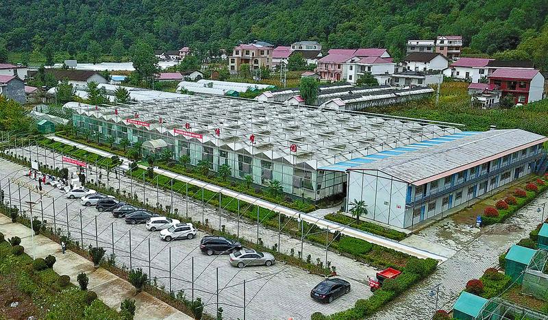 特色农业助脱贫