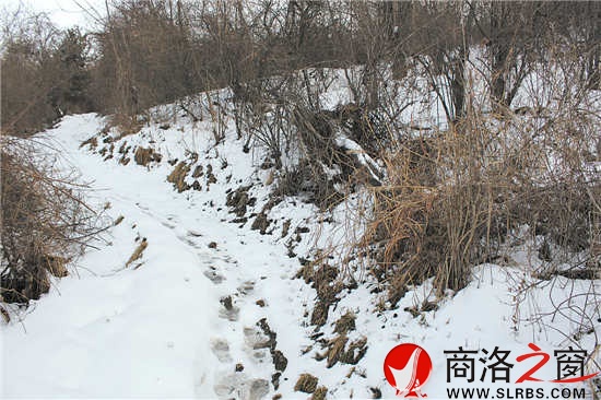 雪覆小径路难行