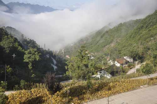 刘家沟