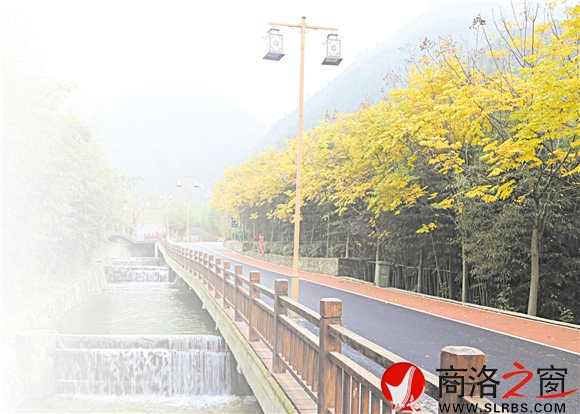 碧水、青竹、黄叶、观景道，美丽乡村竹林关的乡间小道。