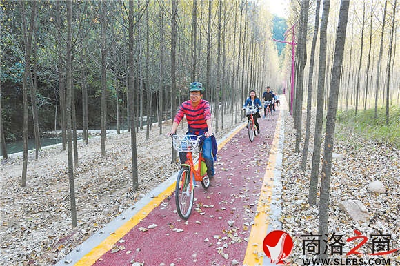 后湾村有专门的公共自行车服务点，有许多条修建漂亮的自行车道，无论什么季节骑车畅游在村子中间，都是一种极其愉悦的享受。