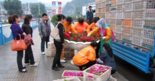 市政处精心为四国篮球赛营造良好城市环境