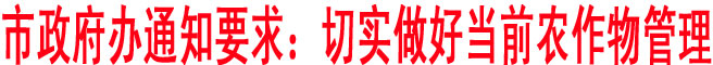 市政府办下发紧急通知