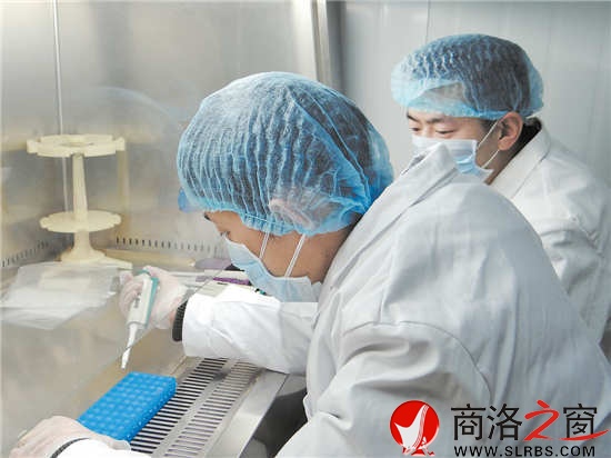 何力与刘少功在DNA实验室里聚精会神地做实验。