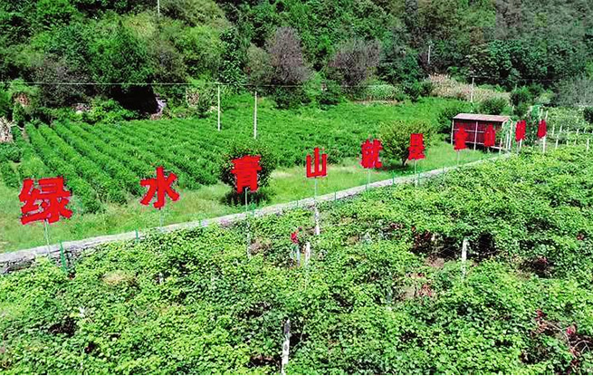 巩固脱贫成果 促进持续增收