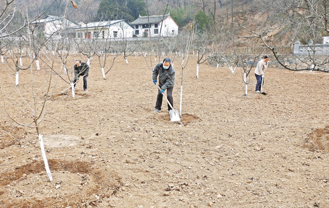 兴富民产业 建美丽乡村
