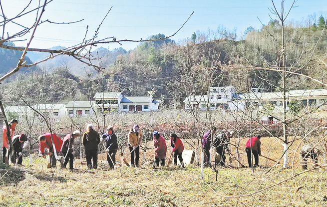 丹凤县铁峪铺镇全力推进“两拆一提升”“两边一补齐”工作