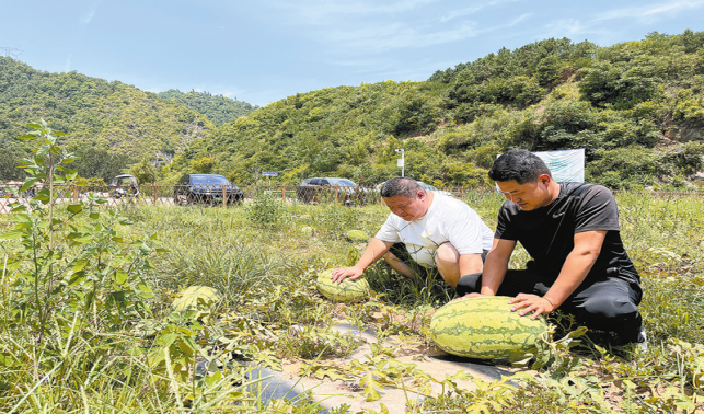 段湾村 农文旅融出好光景