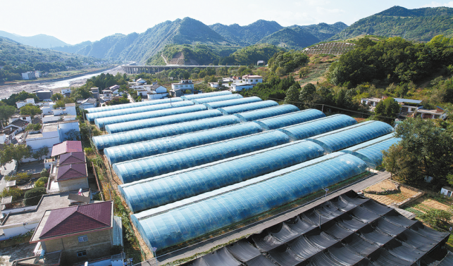 王塬村的新气象