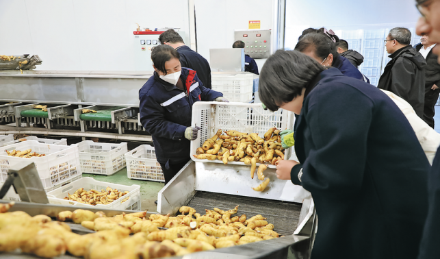 打造经济发展强引擎