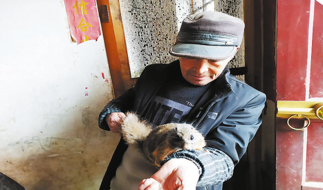 养殖飞鼠编织希望