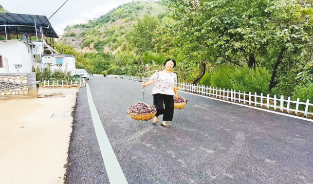 一条柏油路，串起果农新生活