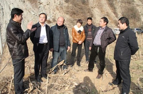 镇安县委副书记马建琦深入回龙镇检查工作