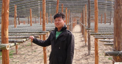 丹凤：大学生村官示范养殖大棚鸡