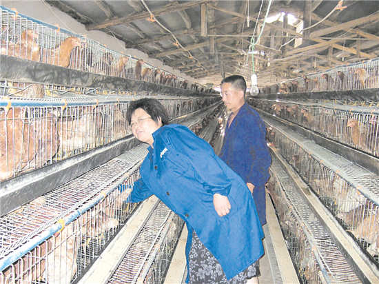 扎根农村的科技特派员