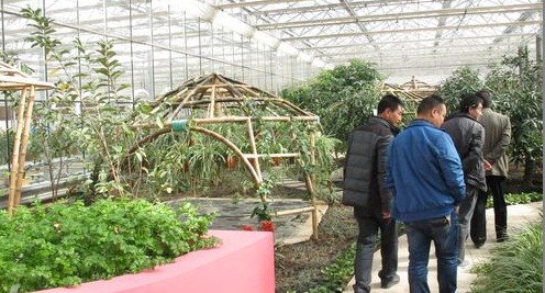 商州大荆农业观光园建成开放