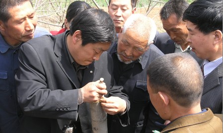 打造商洛核桃新时代