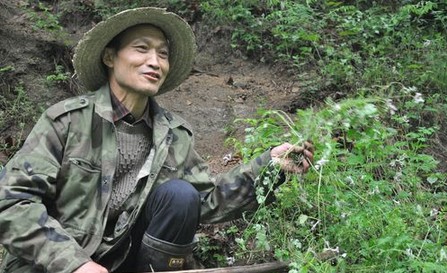 柞水：行走在秦岭深处的农民健康顾问