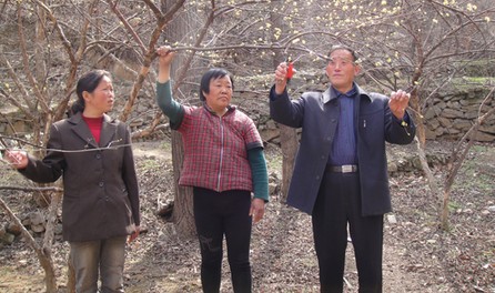 丹凤：山里群众致富的贴心人