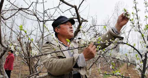 “单腿”走出的精彩人生