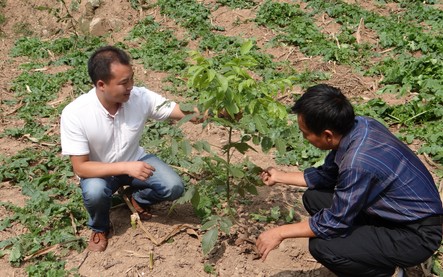 商州:像自家娃一样亲的村官
