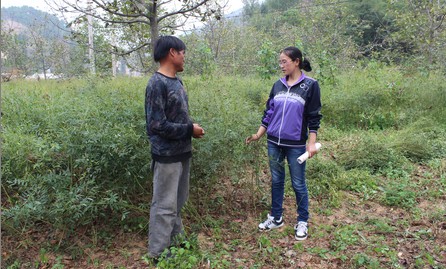 洛南：合作社里女助理