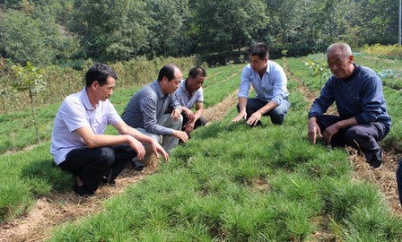 洛南：平凡小事显精神