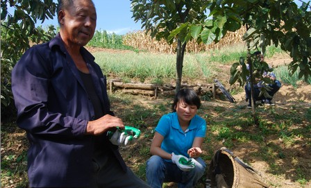 镇安:让青春在基层绽放
