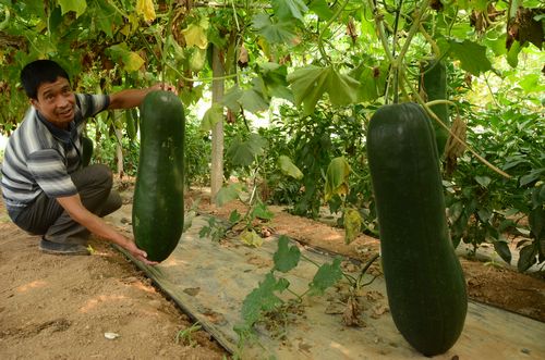 科学发展打造陕南强区 苦干实干建设幸福商州