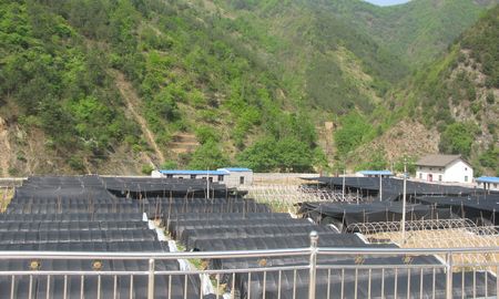 柞水：大学生创业的好榜样