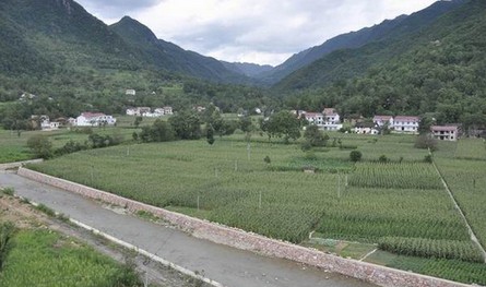 镇安：昔日“烂石滩” 今日“米粮仓”