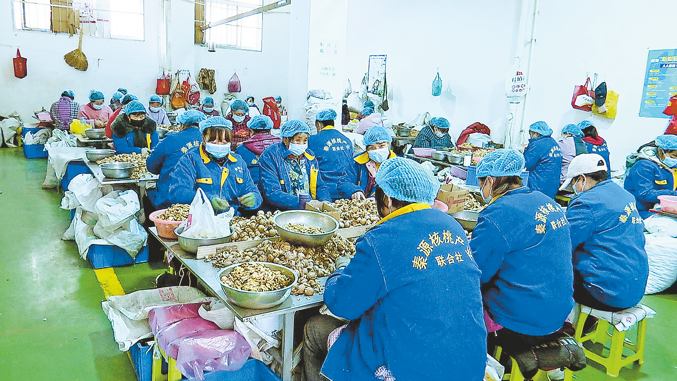 小核桃“撬动”大市场