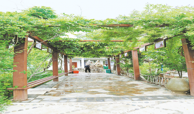 文化铸魂乡村美