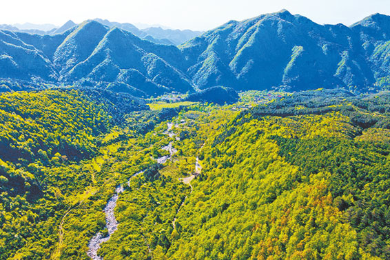 洛河源头草链岭